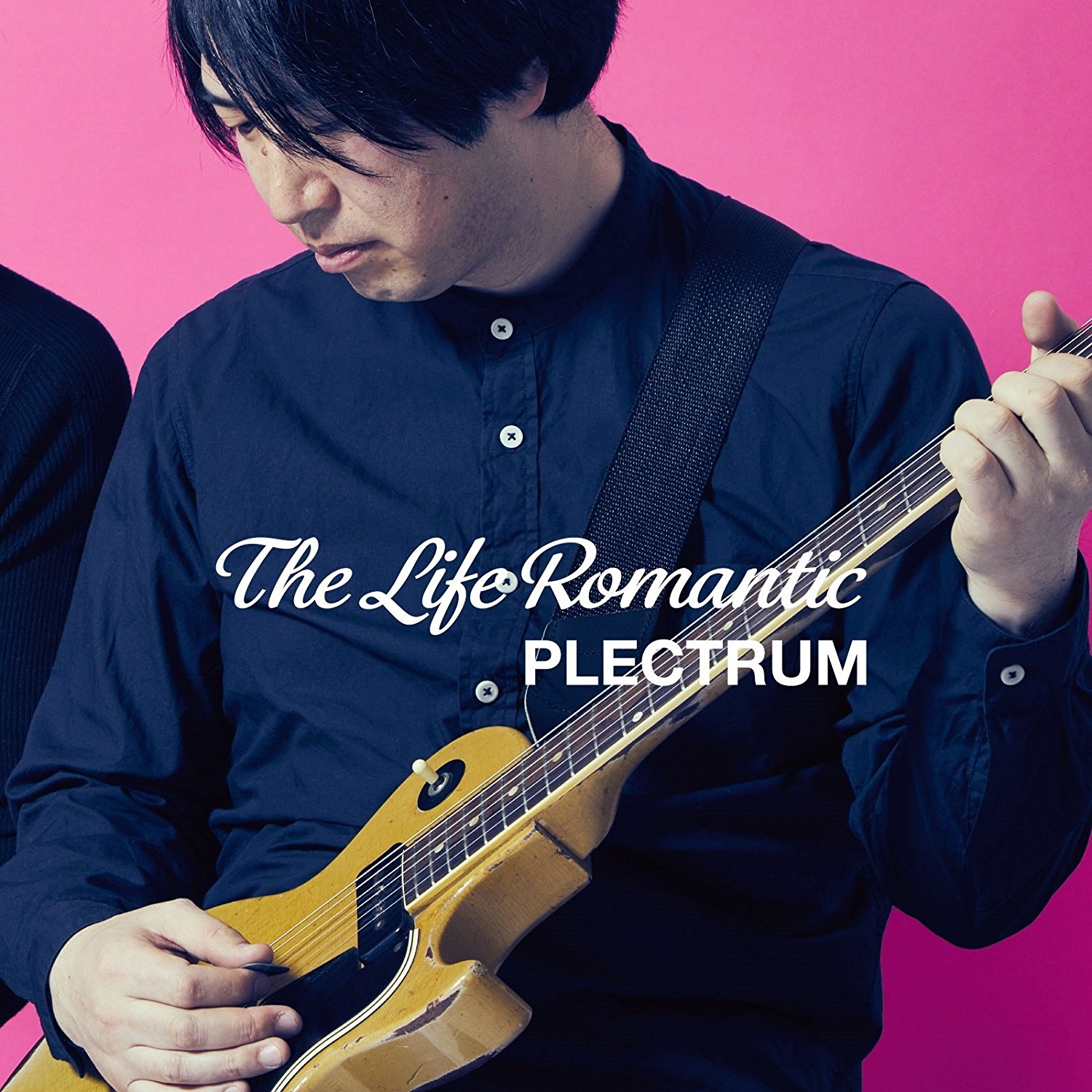 plectrum theliferomantic