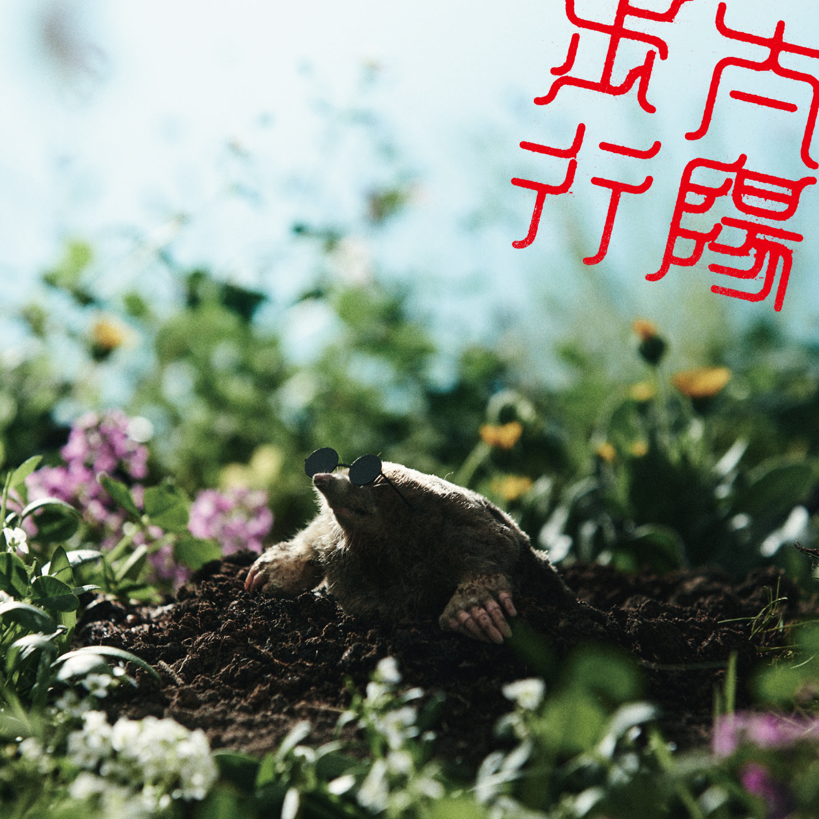 zookaraderu taiyouhokou